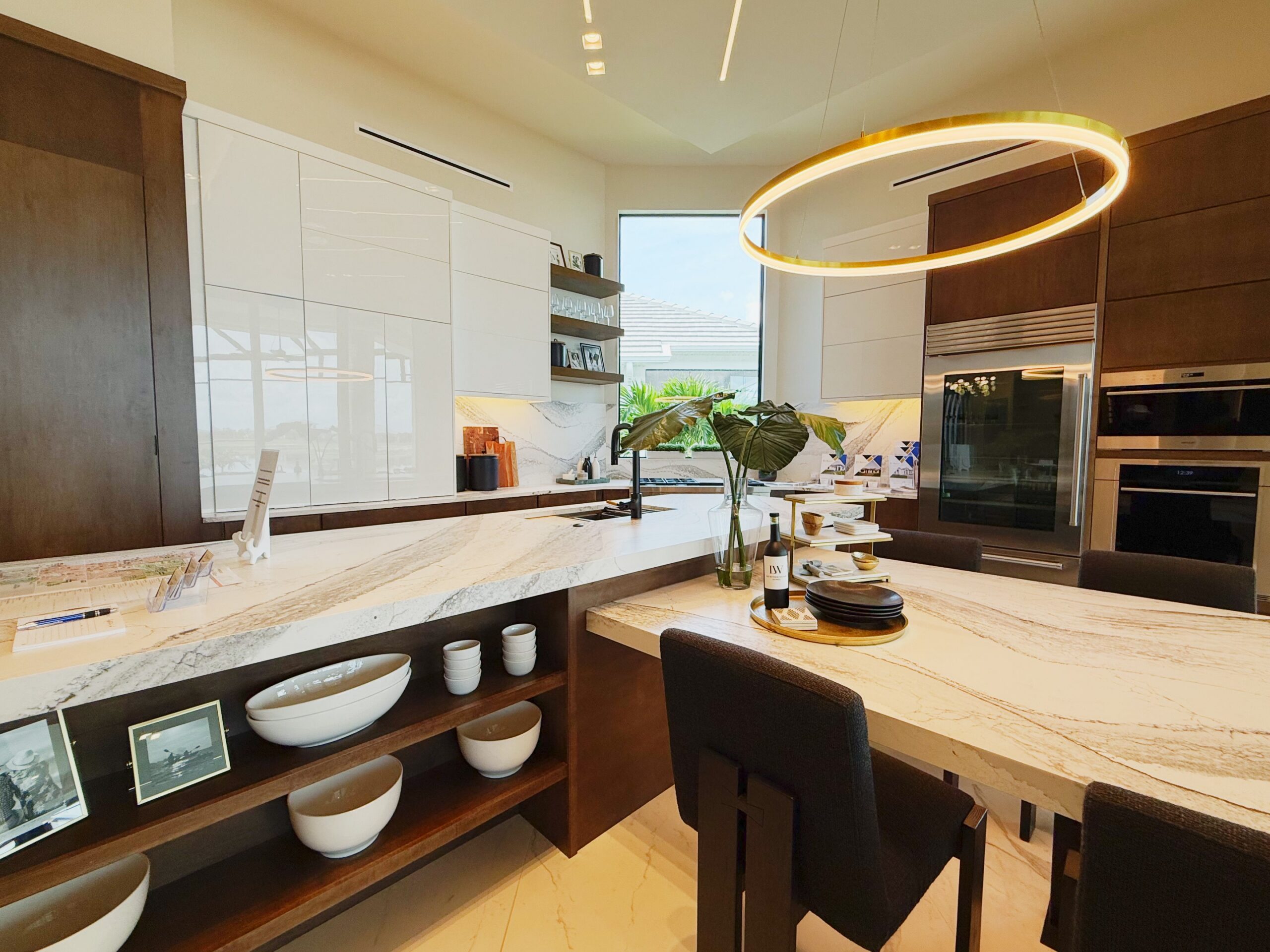 Sand Dollar - 032