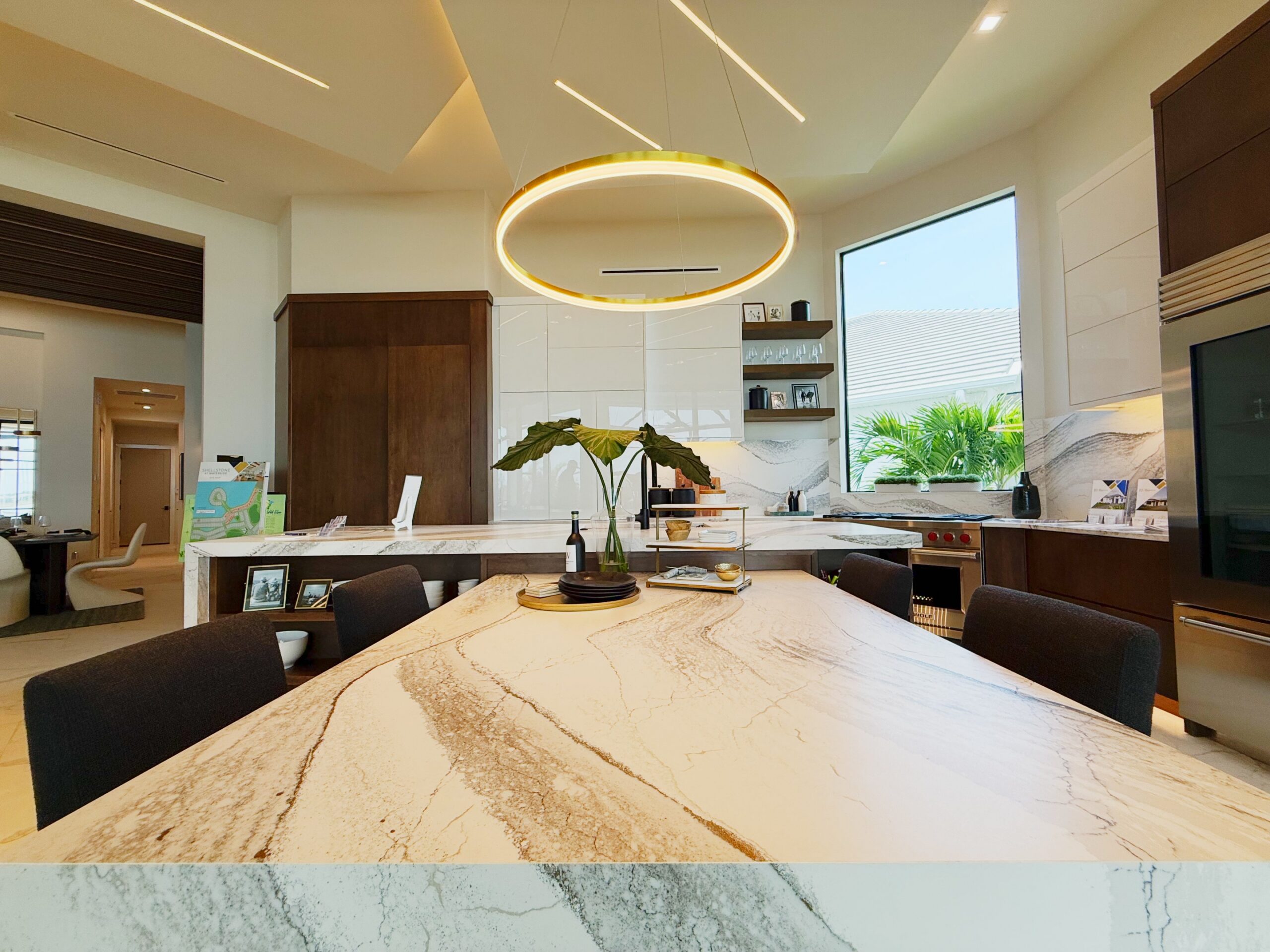 Sand Dollar - 033
