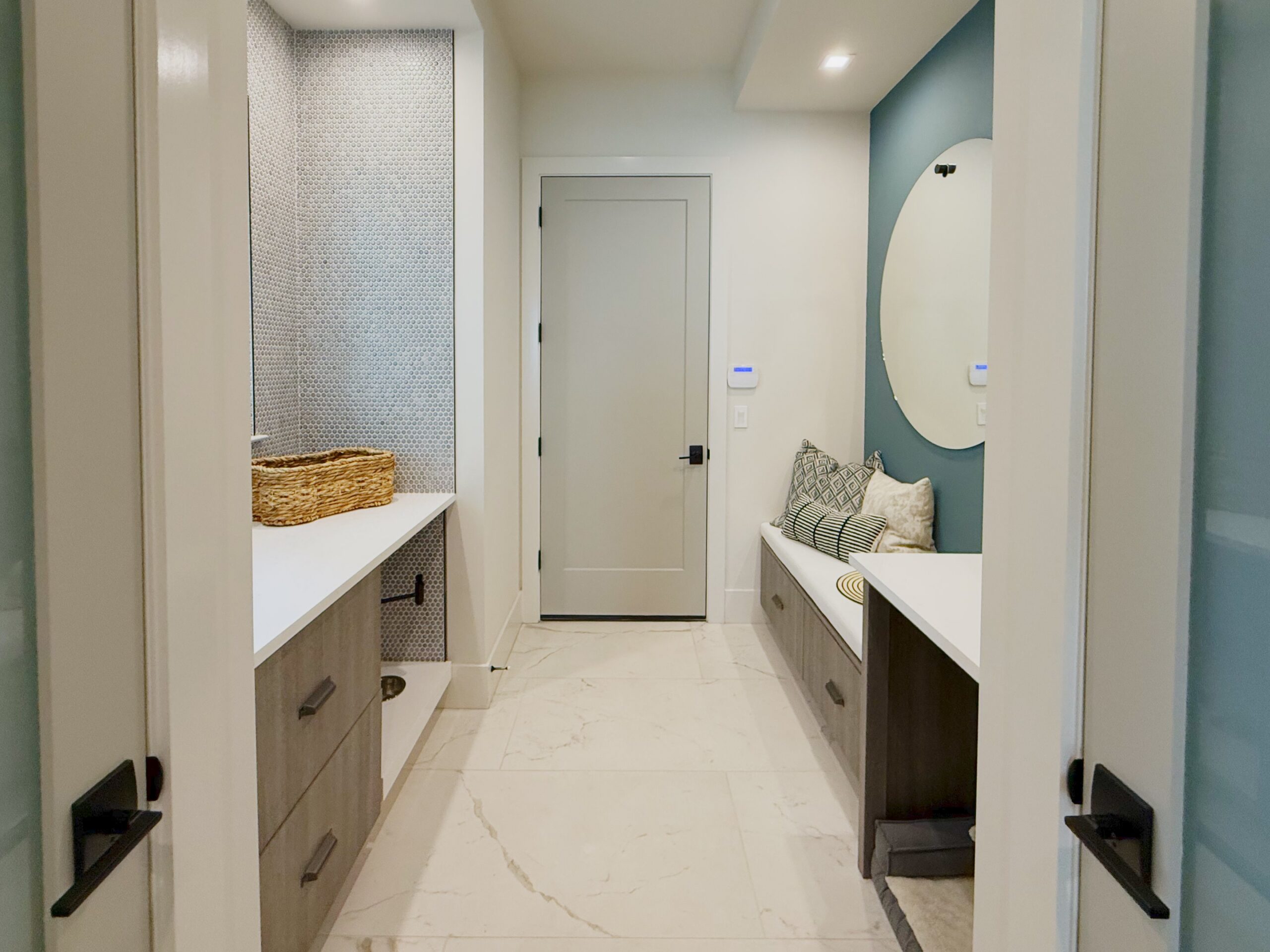 Sand Dollar - 053